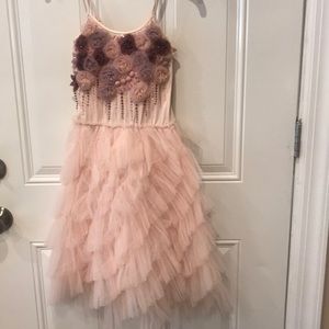 Gorgeous and perfect condition tutu du monde dress